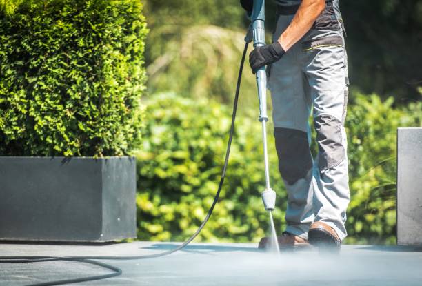 Best Warehouse Cleaning  in Sistersville, WV